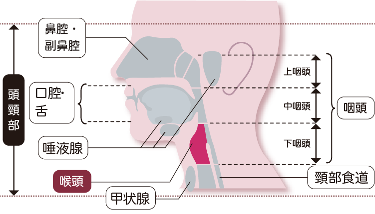 喉頭がん　喉頭　のど　のどぼとけ　病気　バイオディコーディング　スピリチュアル　感情　ホリスティック　ホリスティックウェルビーイング　ホリスティックヘルス　ホリスティックセルフケア　ペンデュラム